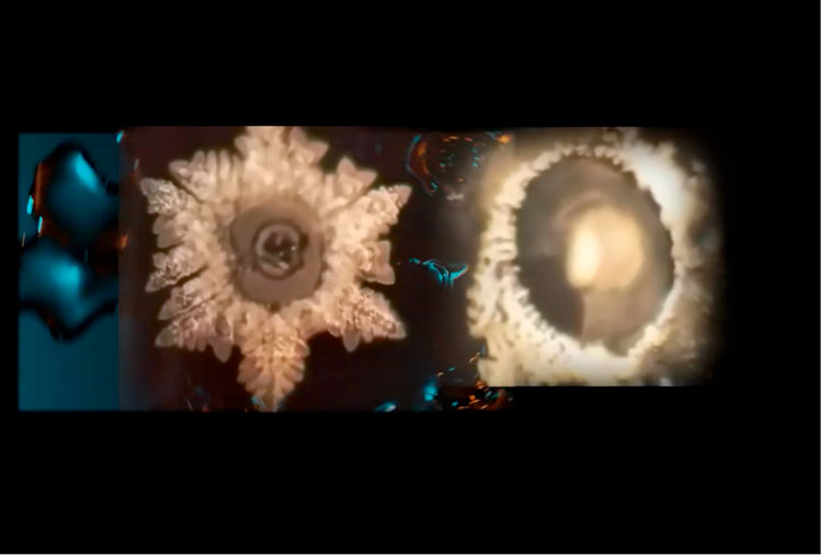 pv16