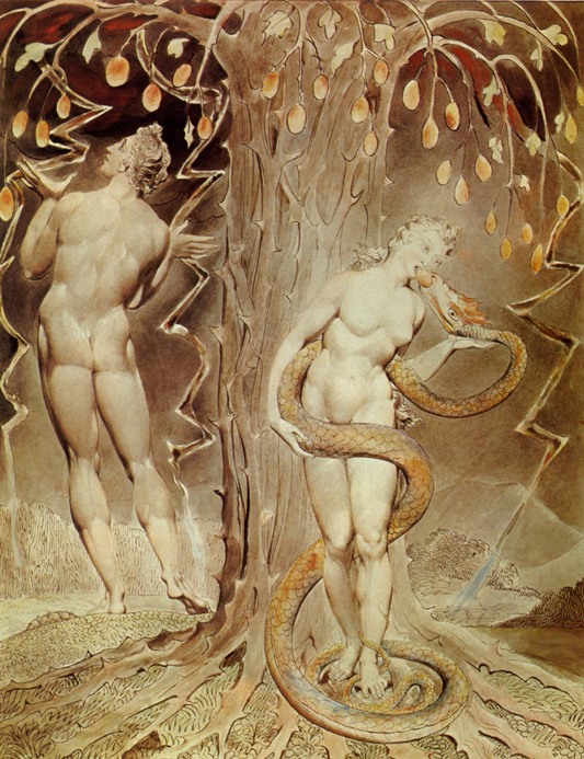 Кто появился раньше: Адам или Ева?