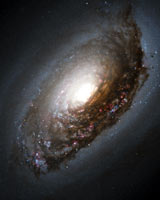 Галактика M64 «Чёрный глаз» (фото Хаббла)