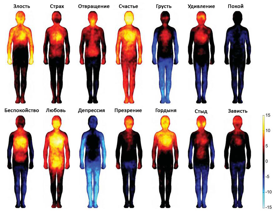 Ученые составили карту, показывающую, где мы чувствуем эмоции