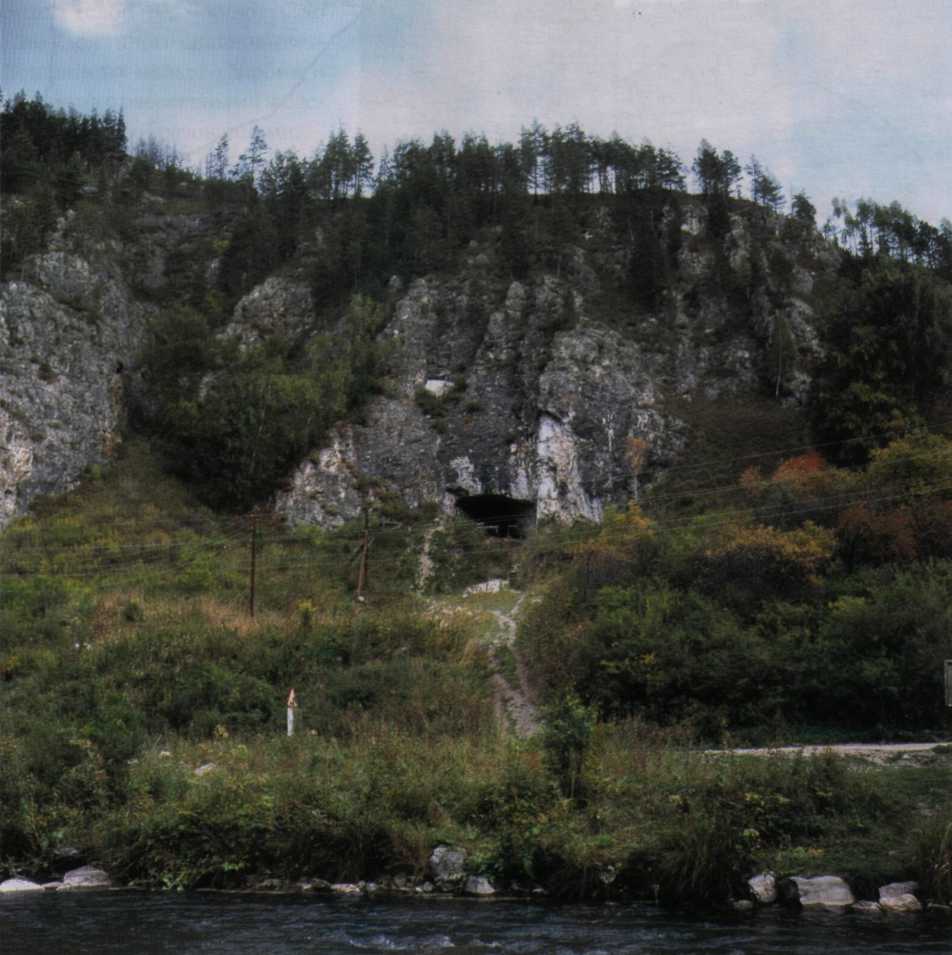 denis-pesh1