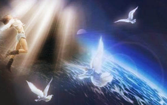 Душа есть и она бессмертна