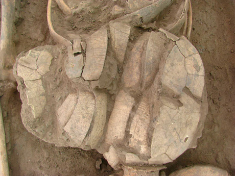 Ученые нашли кладбище инопланетян