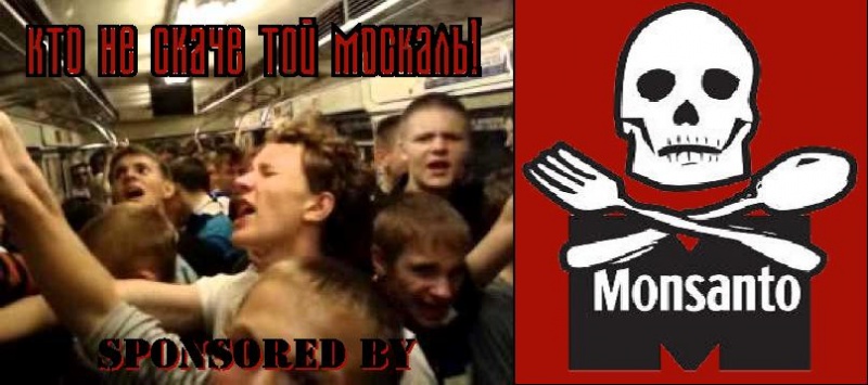 ГМО-аспекты украинской «революции»: «Монсанто» на Украине