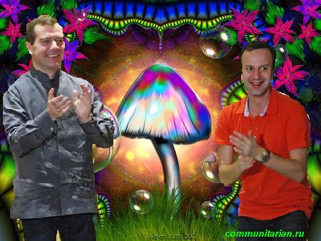 Грибы.jpg О галлюцинациях и «электронных услугах» нашего правительства