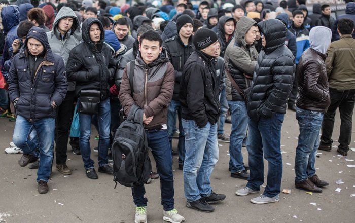 Хаос — главная опасность, которую несут в Россию мигранты