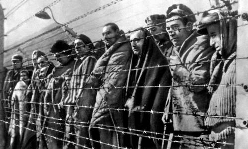 Освенцим: мифы и факты