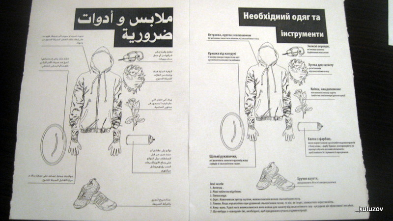 Подоплёка Евромайдана