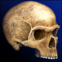 Ученые исследовали останки и предметы из слоновой кости, найденные в "Костенках"