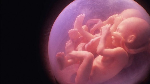 Притча о двух Младенцах