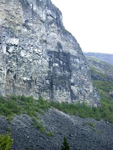 Полярная родина Ариев