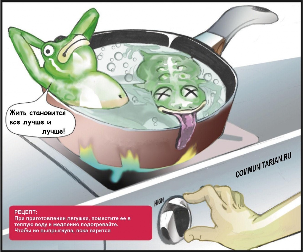 Вареные лягушки1 Вареные лягушки