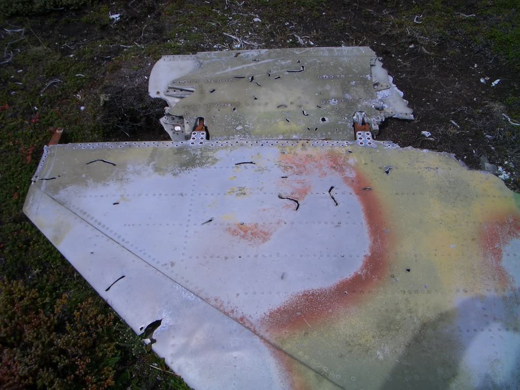 СКР предаст Россию и в деле с малазийским Боингом?