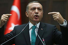 Сны о Босфоре... От чего Эрдоган потерял голову, и как на это реагировать?
