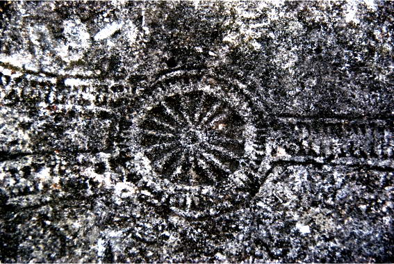 Серьёзный разговор про рождественскую ёлку, Деда Мороза и Новый Год