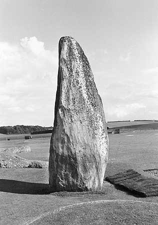 Цели и задачи «Проекта Стоунхендж»